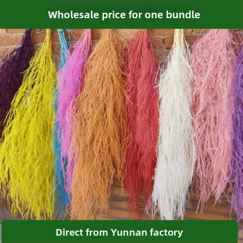 Yunnan Runhong saglabāti un sausi ziedi, karājas dekorācija kāzām; Moderns minimālisks stils; Preces kods: 2024; Importēts: Nē