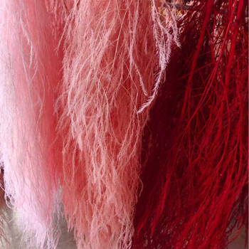 Yunnan Runhong Saglabāti un kaltēti ziedi pakarināšanai – Dragon Whiskers, Long-Haired Grass, kāzu dekors, pielāgota apstrāde, mūsdienīgs minimālisms