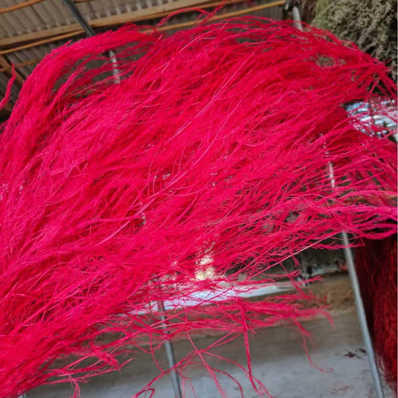 Visiaca kvetinová dekorácia s zachovanými a sušenými kvetmi, Dragon Whiskers Grass a dlhé trávy; značka Yunnan Runhong, kód produktu 2024, pôvod Čína, moderný minimalistický štýl