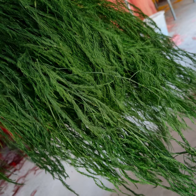Visiaca kvetinová dekorácia s zachovanými a sušenými kvetmi, Dragon Whiskers Grass a dlhé trávy; značka Yunnan Runhong, kód produktu 2024, pôvod Čína, moderný minimalistický štýl