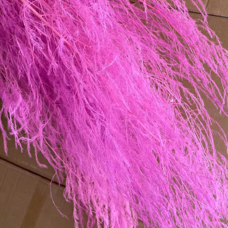 Függő virágkompozíció konzervált és szárított virágokból Dragon Whiskers és Long-Hair Grass; Márka Yunnan Runhong • 2024 • Modern minimál stílus • Kína