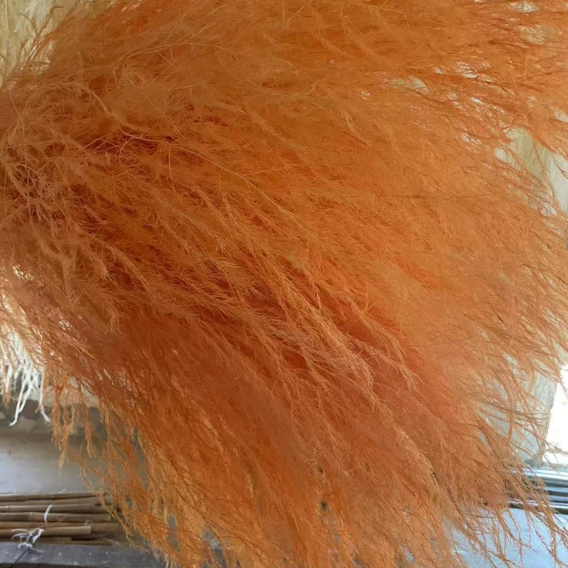 Függő virág dekoráció konzervált és szárított virágokkal, Dragon Whiskers Grass és Long-Haired Grass – Yunnan Runhong, 2024-es modell, Kína, Modern minimalista stílus