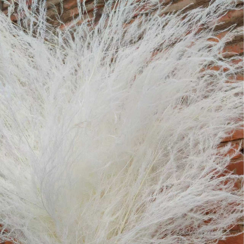 Függő virág dekoráció konzervált és szárított virágokkal, Dragon Whiskers Grass és Long-Haired Grass – Yunnan Runhong, 2024-es modell, Kína, Modern minimalista stílus