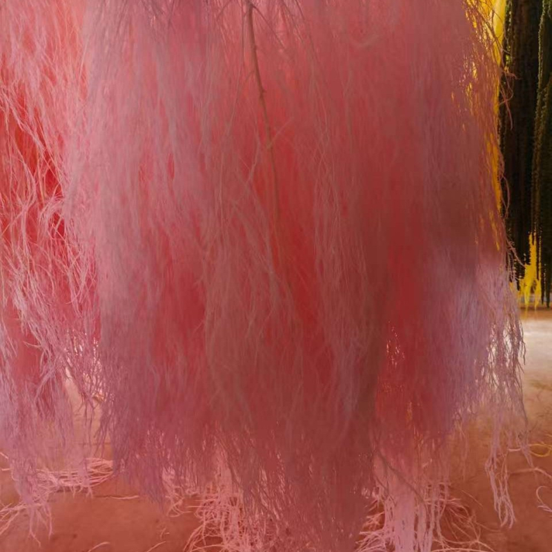 Függő virág dekoráció konzervált és szárított virágokkal, Dragon Whiskers Grass és Long-Haired Grass – Yunnan Runhong, 2024-es modell, Kína, Modern minimalista stílus