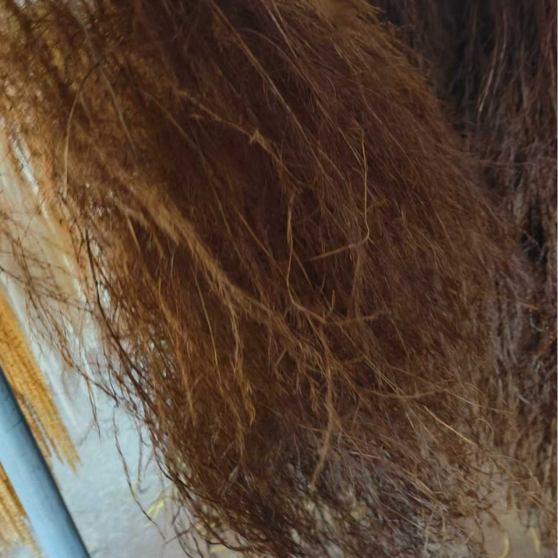 Függő virág dekoráció konzervált és szárított virágokkal, Dragon Whiskers Grass és Long-Haired Grass – Yunnan Runhong, 2024-es modell, Kína, Modern minimalista stílus