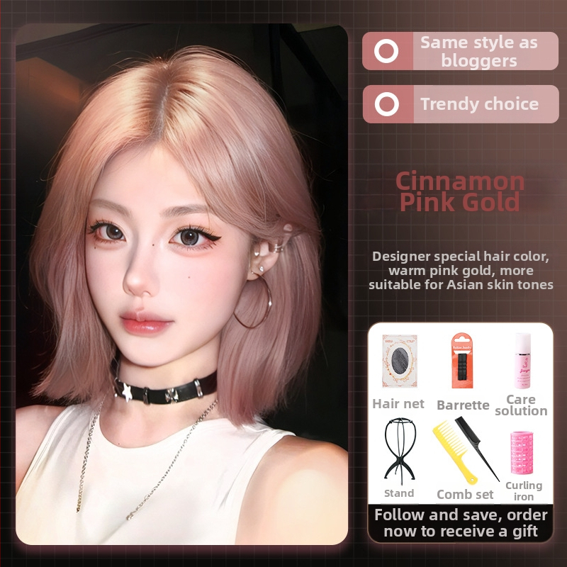 Visiškai perukas moterims su trumpais tiesiais plaukais, Korėjos stiliaus, įstrižos kirpčiukai, atsparus karščiui pluoštas, apdorojimo technologija: mechanizmas