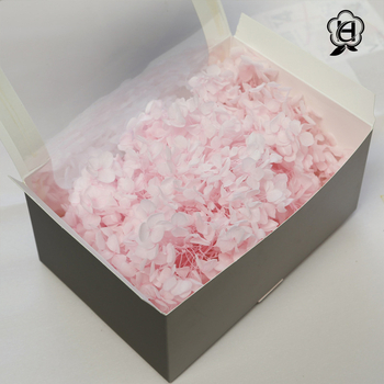 Philia Lobular hidrangeja – Sausie ziedi, Baltīšanas process, Mūžīgā ziedu materiāls