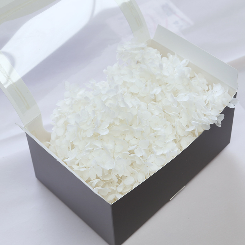 Philia Lobular hidrangeja – Sausie ziedi, Baltīšanas process, Mūžīgā ziedu materiāls