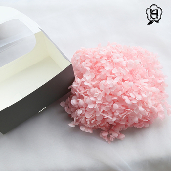 Anna hortenzija kaltēti ziedi – Materiāls: kaltēti ziedi, mūžīgie ziedi; Bielēšanas process; Zīmols: Philia; IP atļauja: Nav; Imports: Nē