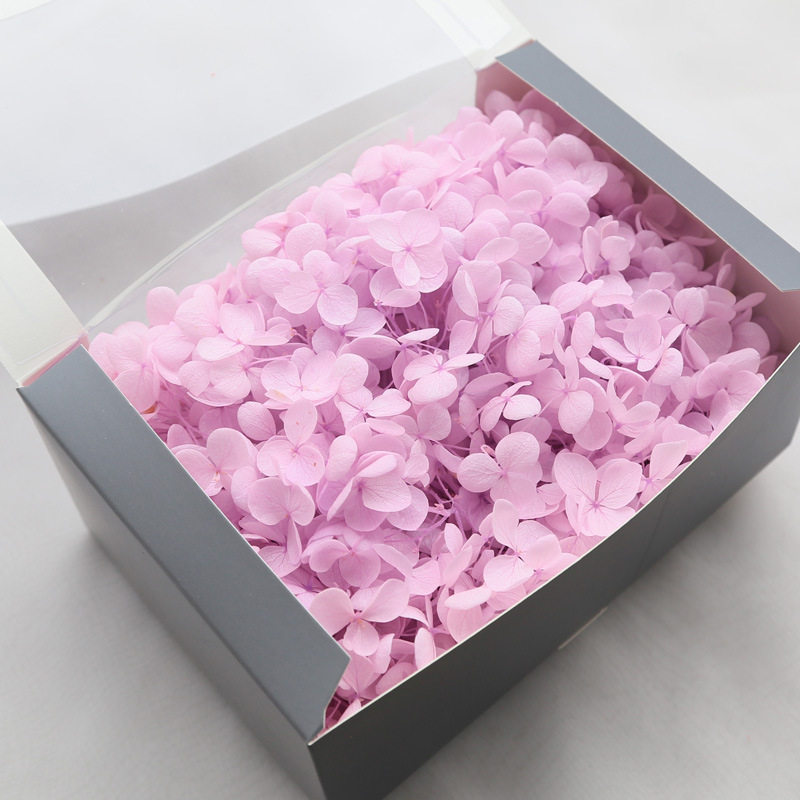 Anna hortenzija kaltēti ziedi – Materiāls: kaltēti ziedi, mūžīgie ziedi; Bielēšanas process; Zīmols: Philia; IP atļauja: Nav; Imports: Nē