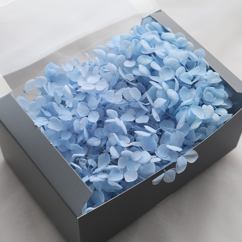 Anna hortenzija kaltēti ziedi – Materiāls: kaltēti ziedi, mūžīgie ziedi; Bielēšanas process; Zīmols: Philia; IP atļauja: Nav; Imports: Nē