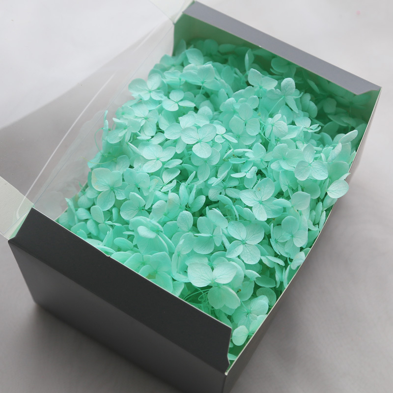 Anna hortenzija kaltēti ziedi – Materiāls: kaltēti ziedi, mūžīgie ziedi; Bielēšanas process; Zīmols: Philia; IP atļauja: Nav; Imports: Nē