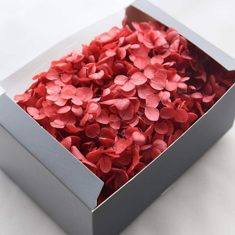 Anna hortenzija kaltēti ziedi – Materiāls: kaltēti ziedi, mūžīgie ziedi; Bielēšanas process; Zīmols: Philia; IP atļauja: Nav; Imports: Nē