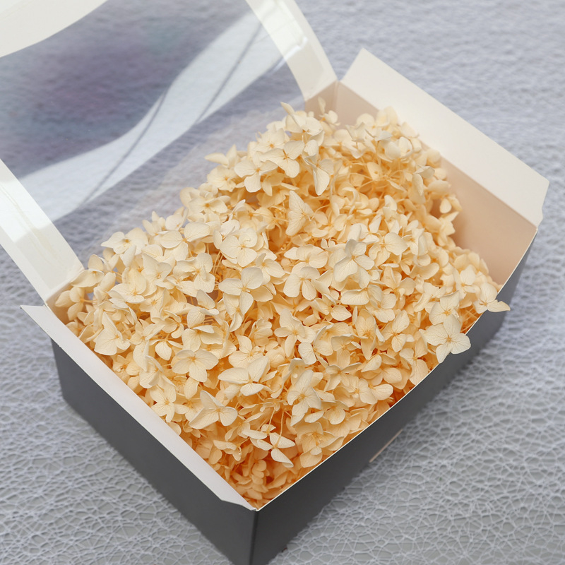 Anna hortenzija kaltēti ziedi – Materiāls: kaltēti ziedi, mūžīgie ziedi; Bielēšanas process; Zīmols: Philia; IP atļauja: Nav; Imports: Nē