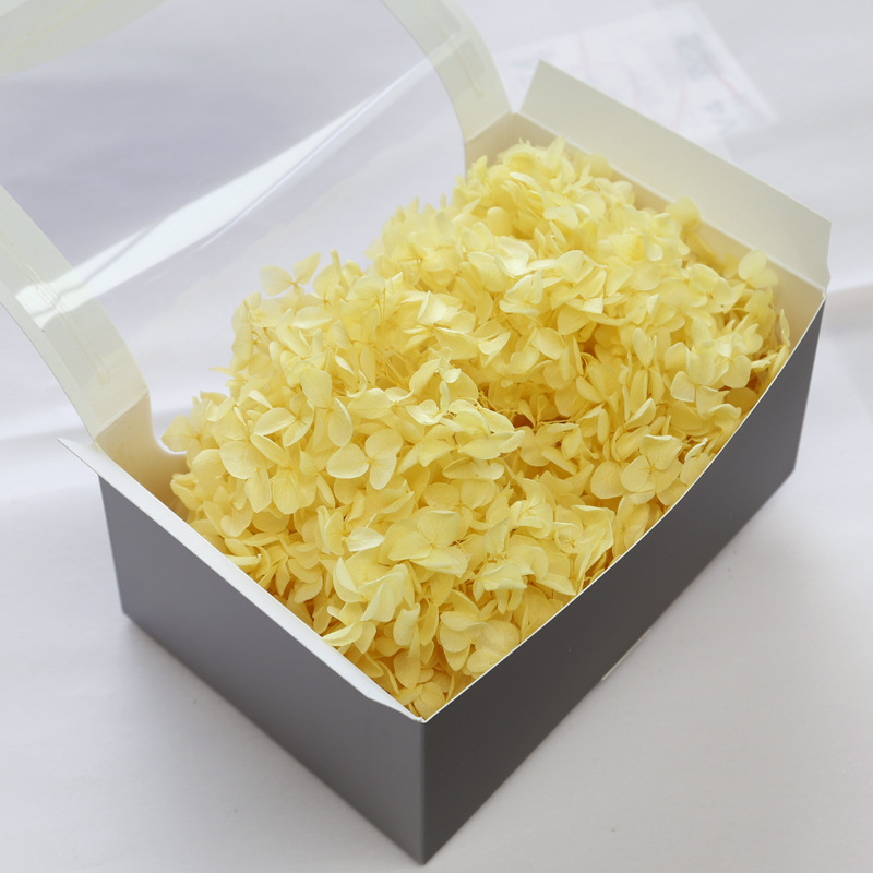 Anna hortenzija kaltēti ziedi – Materiāls: kaltēti ziedi, mūžīgie ziedi; Bielēšanas process; Zīmols: Philia; IP atļauja: Nav; Imports: Nē