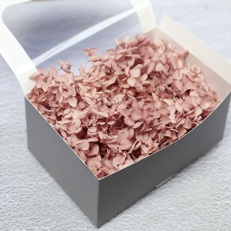 Anna hortenzija kaltēti ziedi – Materiāls: kaltēti ziedi, mūžīgie ziedi; Bielēšanas process; Zīmols: Philia; IP atļauja: Nav; Imports: Nē