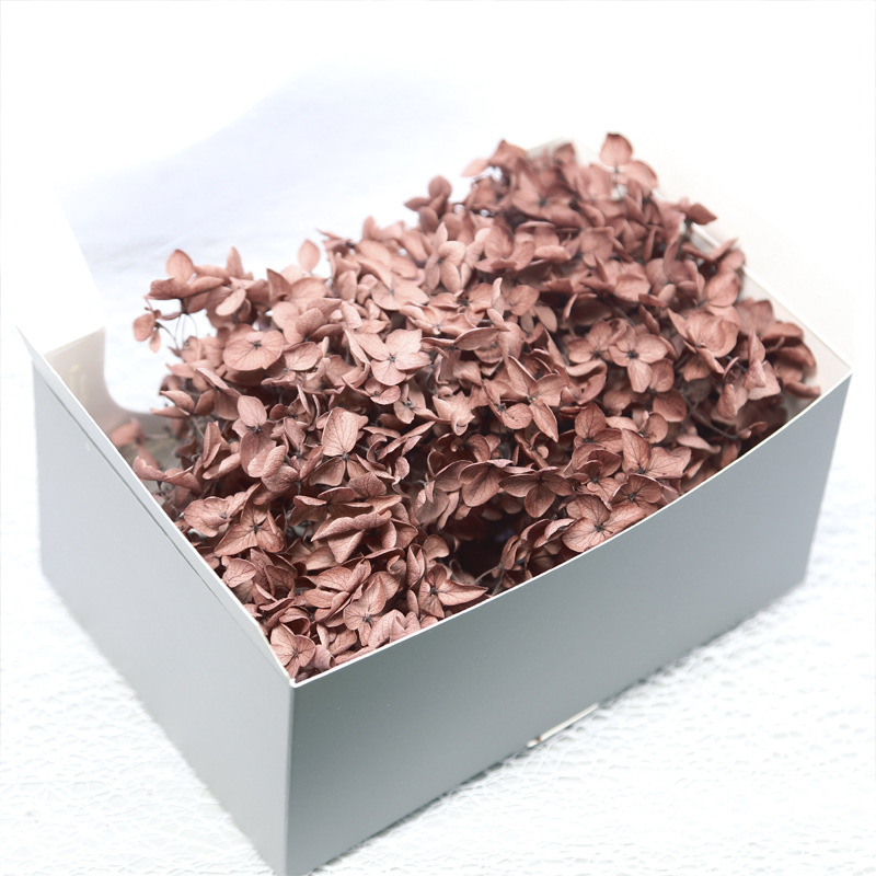 Anna hortenzija kaltēti ziedi – Materiāls: kaltēti ziedi, mūžīgie ziedi; Bielēšanas process; Zīmols: Philia; IP atļauja: Nav; Imports: Nē