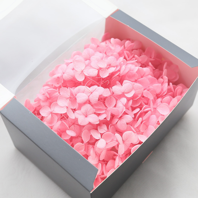 Philia Anna hortenzijas kaltētie ziedi – balināšana, materiāls: mūžīgi ziedi