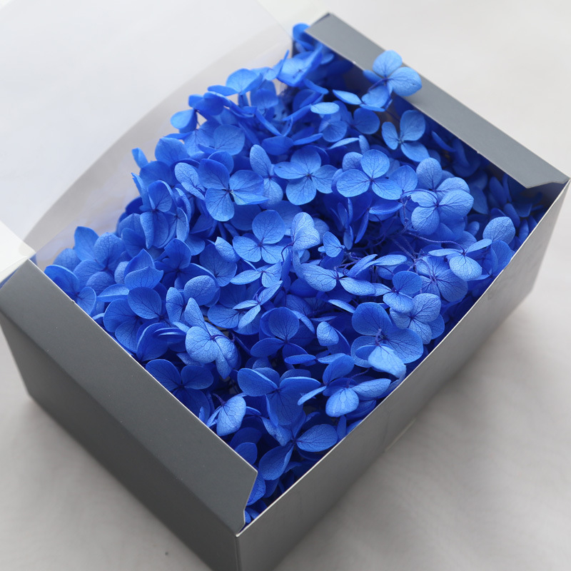 Philia Anna hortenzijas kaltētie ziedi – balināšana, materiāls: mūžīgi ziedi