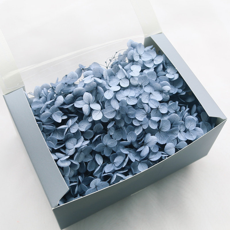 Philia Anna hortenzijas kaltētie ziedi – balināšana, materiāls: mūžīgi ziedi