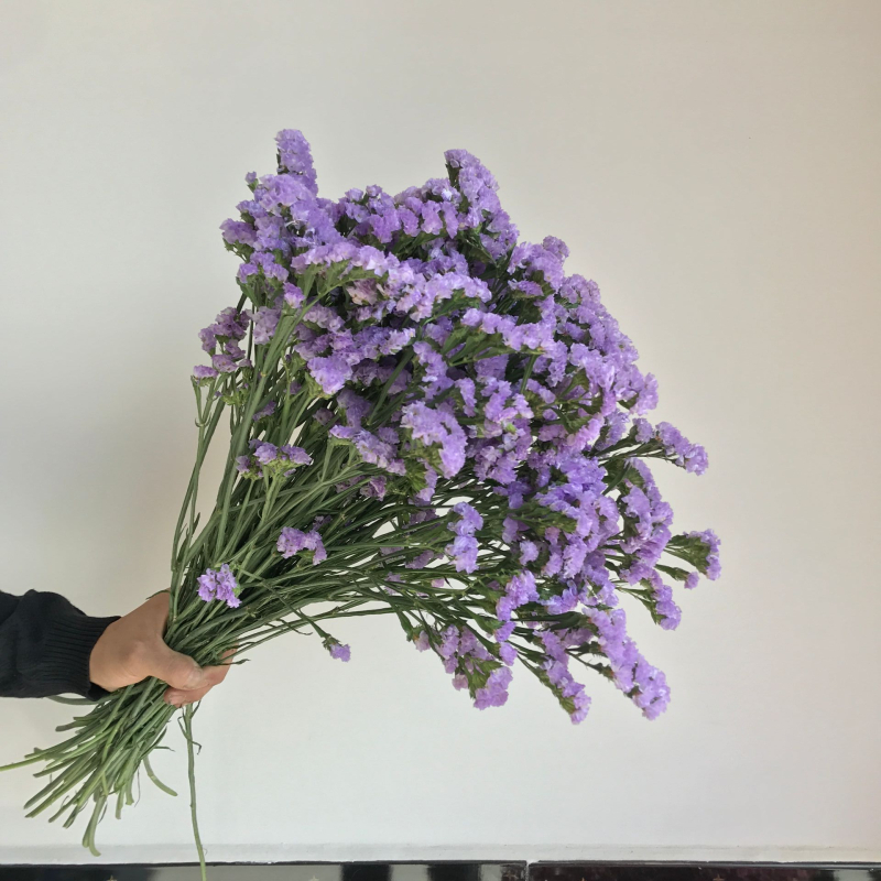 Forget-me-not ziedi, nekrāsoti ziedi, iepakojums no netkanas auduma maisiņa, viens pušķis