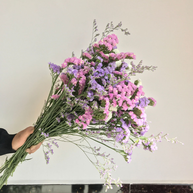 Forget-me-not ziedi, nekrāsoti ziedi, iepakojums no netkanas auduma maisiņa, viens pušķis