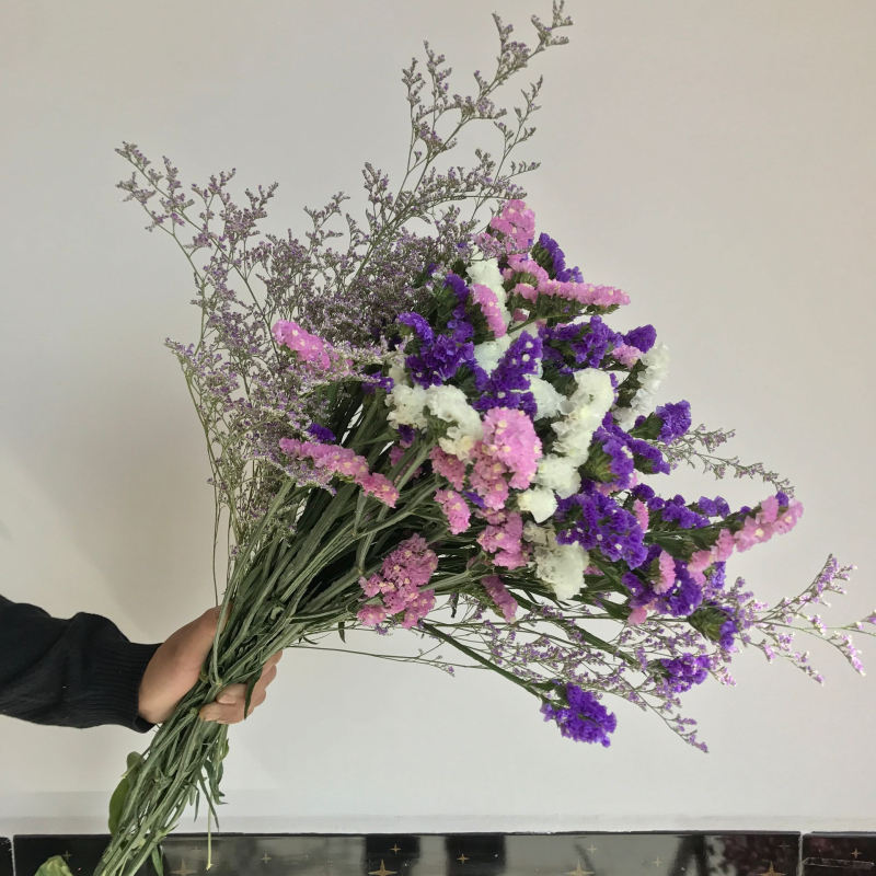 Forget-me-not ziedi, nekrāsoti ziedi, iepakojums no netkanas auduma maisiņa, viens pušķis