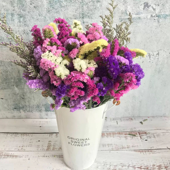 Forget-me-not sausi ziedi, pušķis netītā maisiņā