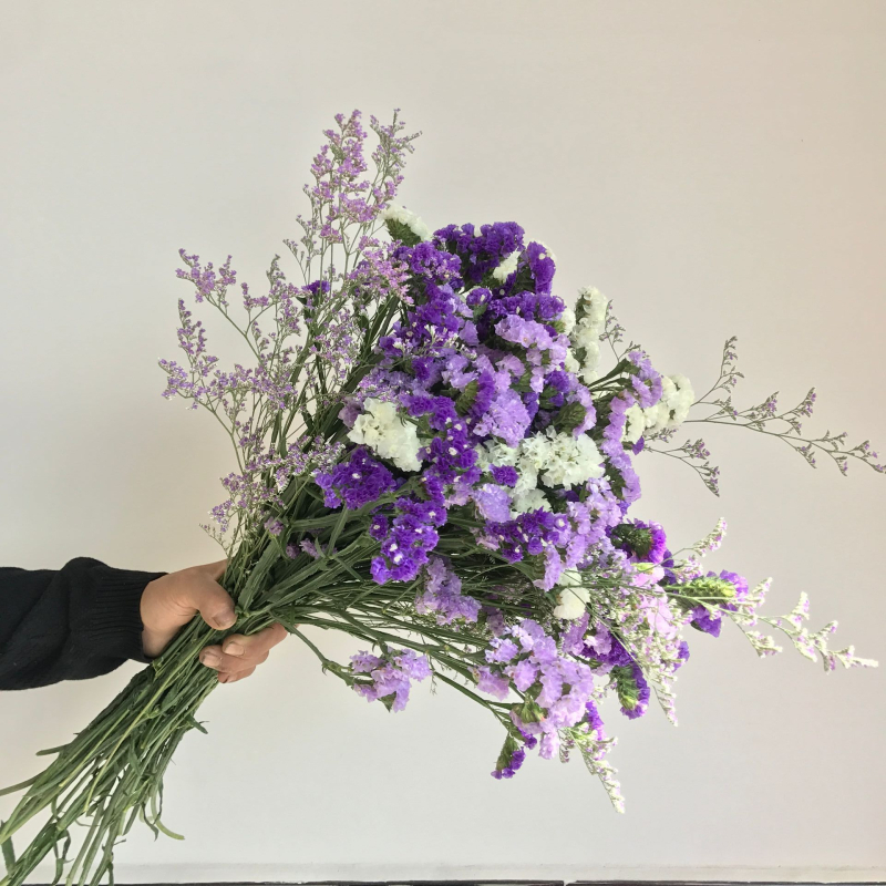 Forget-me-not sausi ziedi, pušķis netītā maisiņā