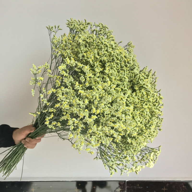 Forget-me-not sausi ziedi, pušķis netītā maisiņā