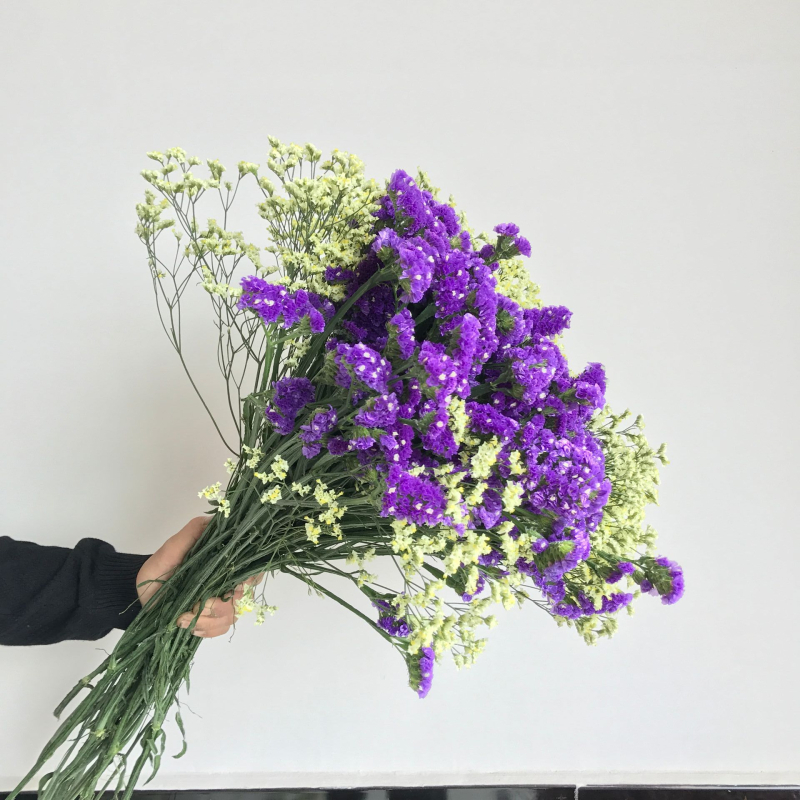 Forget-me-not sausi ziedi, pušķis netītā maisiņā