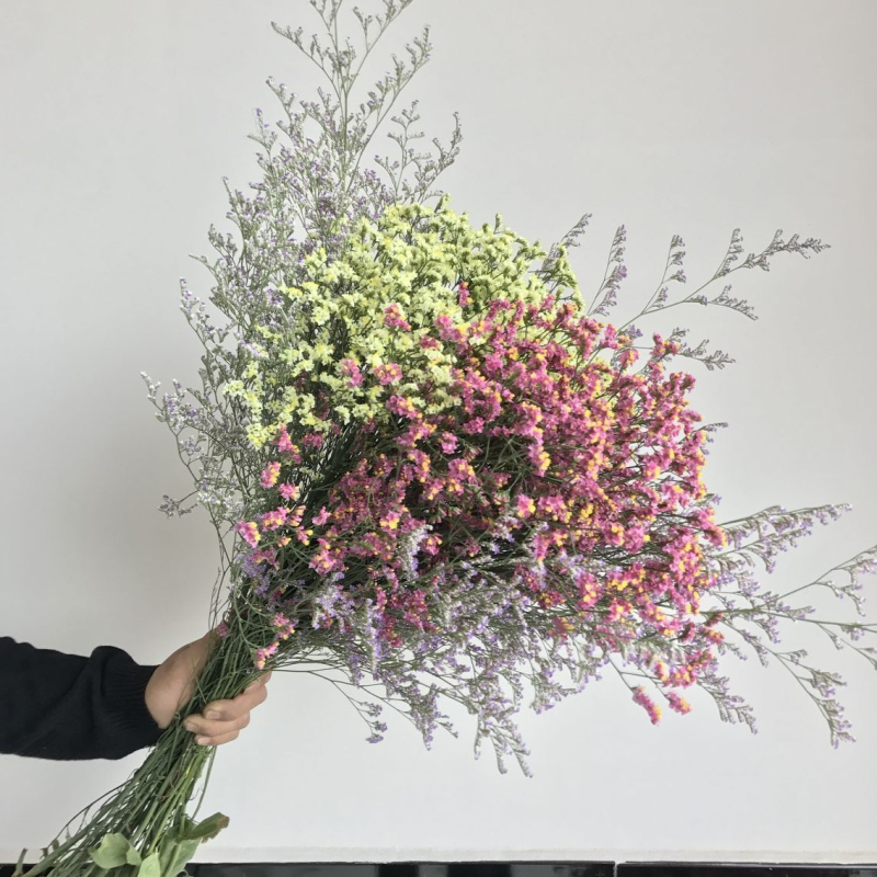 Μπουκέτο Forget-me-not αποξηραμένα λουλούδια, χωρίς βαφή, σε σακούλα από μη υφαντό ύφασμα