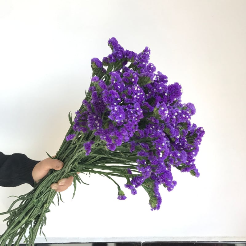 Μπουκέτο Forget-me-not αποξηραμένα λουλούδια, χωρίς βαφή, σε σακούλα από μη υφαντό ύφασμα