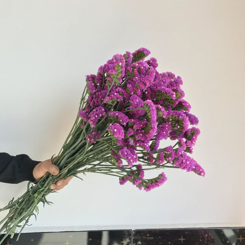 Μπουκέτο Forget-me-not αποξηραμένα λουλούδια, χωρίς βαφή, σε σακούλα από μη υφαντό ύφασμα