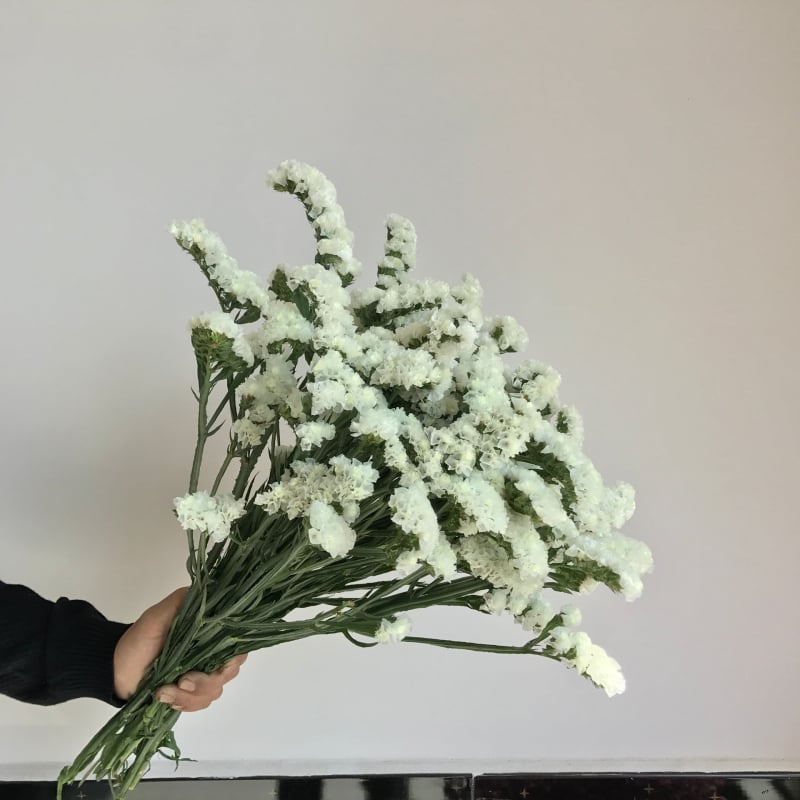 Μπουκέτο Forget-me-not αποξηραμένα λουλούδια, χωρίς βαφή, σε σακούλα από μη υφαντό ύφασμα