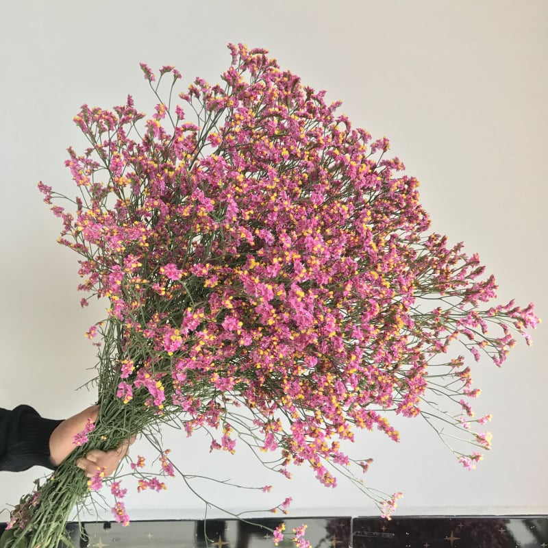 Μπουκέτο Forget-me-not αποξηραμένα λουλούδια, χωρίς βαφή, σε σακούλα από μη υφαντό ύφασμα