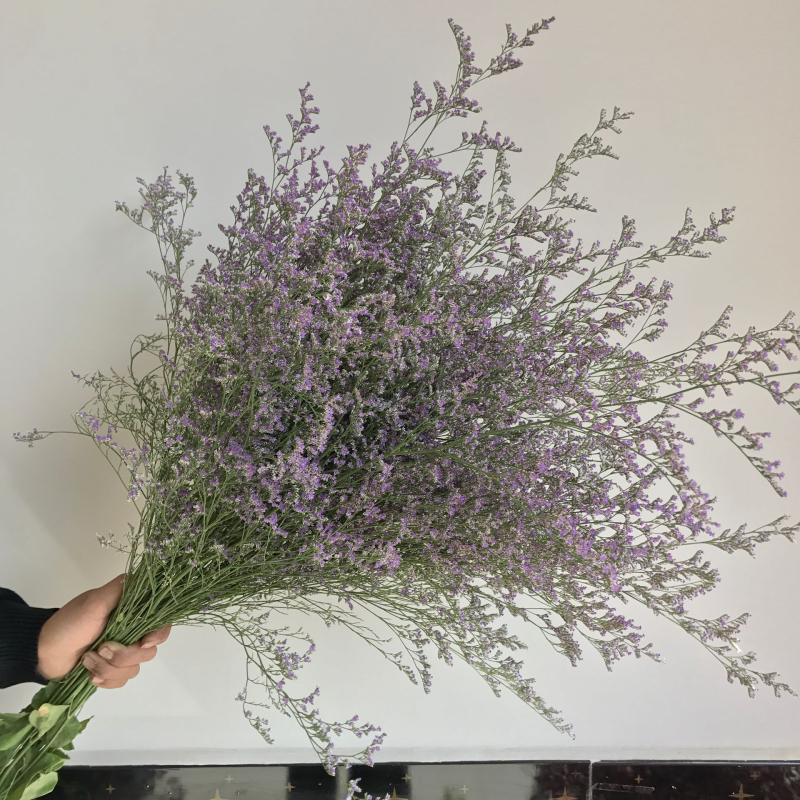 Μπουκέτο Forget-me-not αποξηραμένα λουλούδια, χωρίς βαφή, σε σακούλα από μη υφαντό ύφασμα