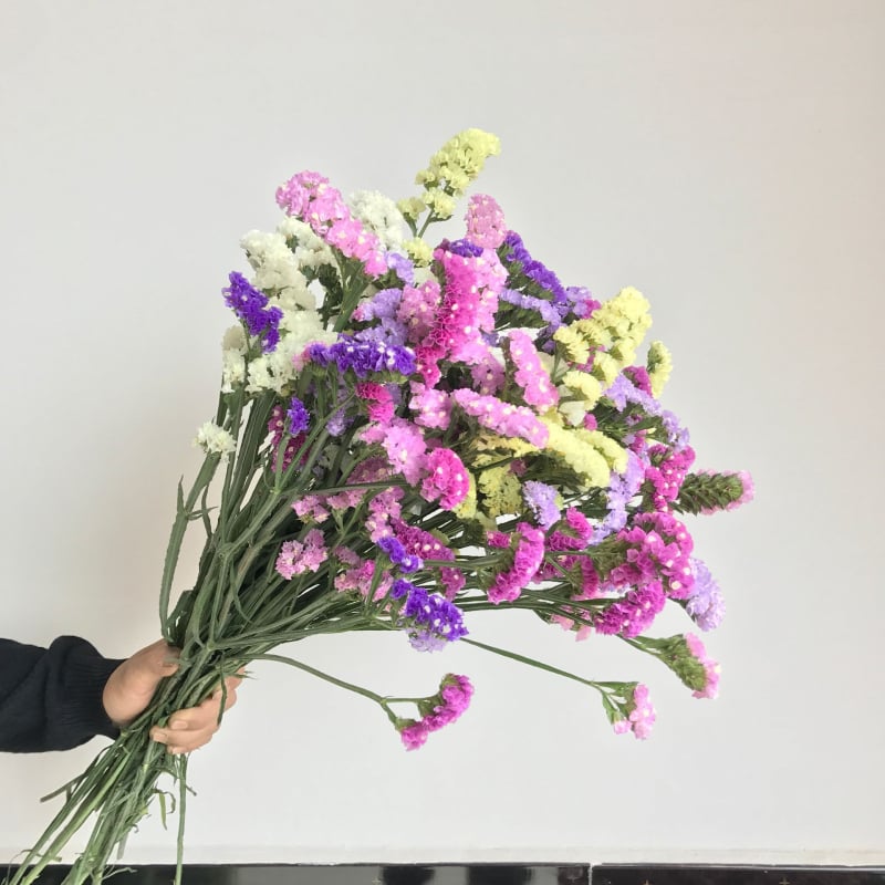 Μπουκέτο Forget-me-not αποξηραμένα λουλούδια, χωρίς βαφή, σε σακούλα από μη υφαντό ύφασμα