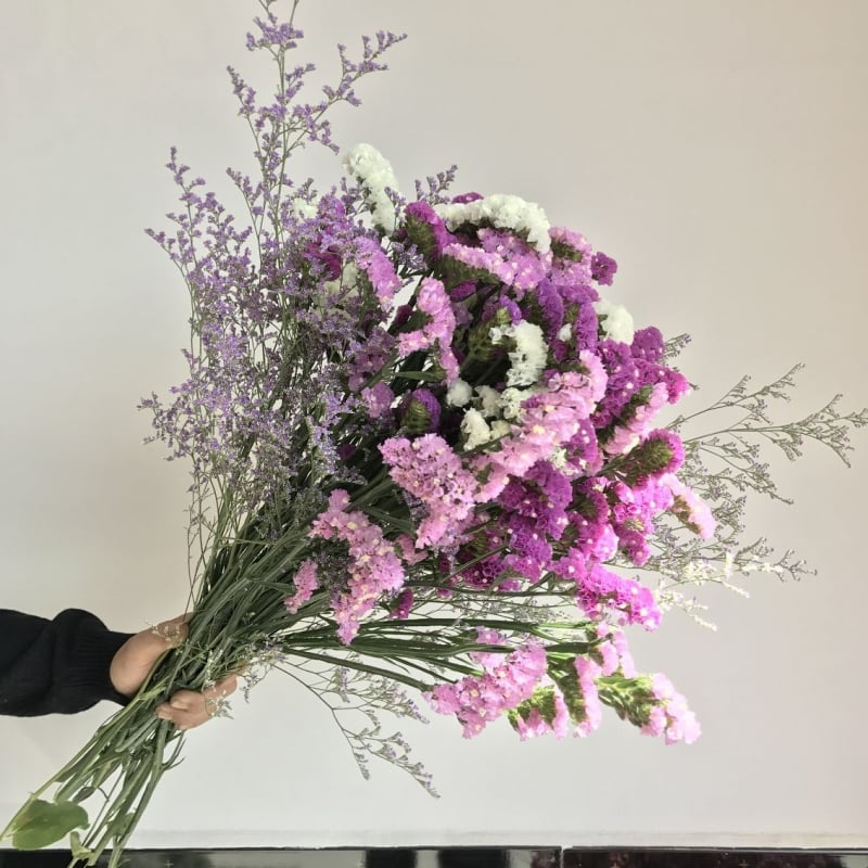 Μπουκέτο Forget-me-not αποξηραμένα λουλούδια, χωρίς βαφή, σε σακούλα από μη υφαντό ύφασμα