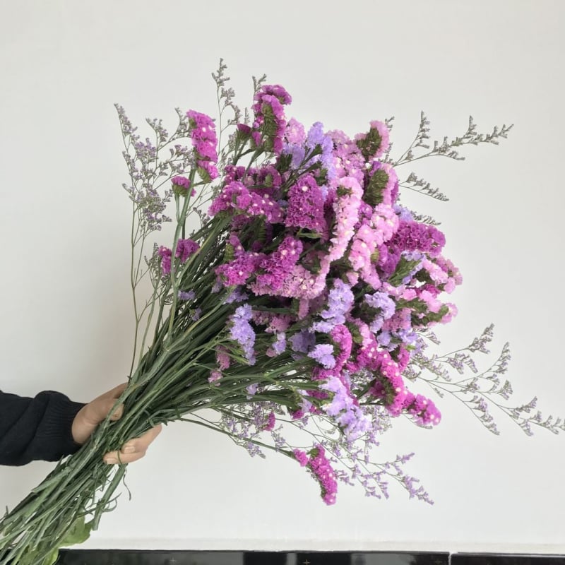 Μπουκέτο Forget-me-not αποξηραμένα λουλούδια, χωρίς βαφή, σε σακούλα από μη υφαντό ύφασμα