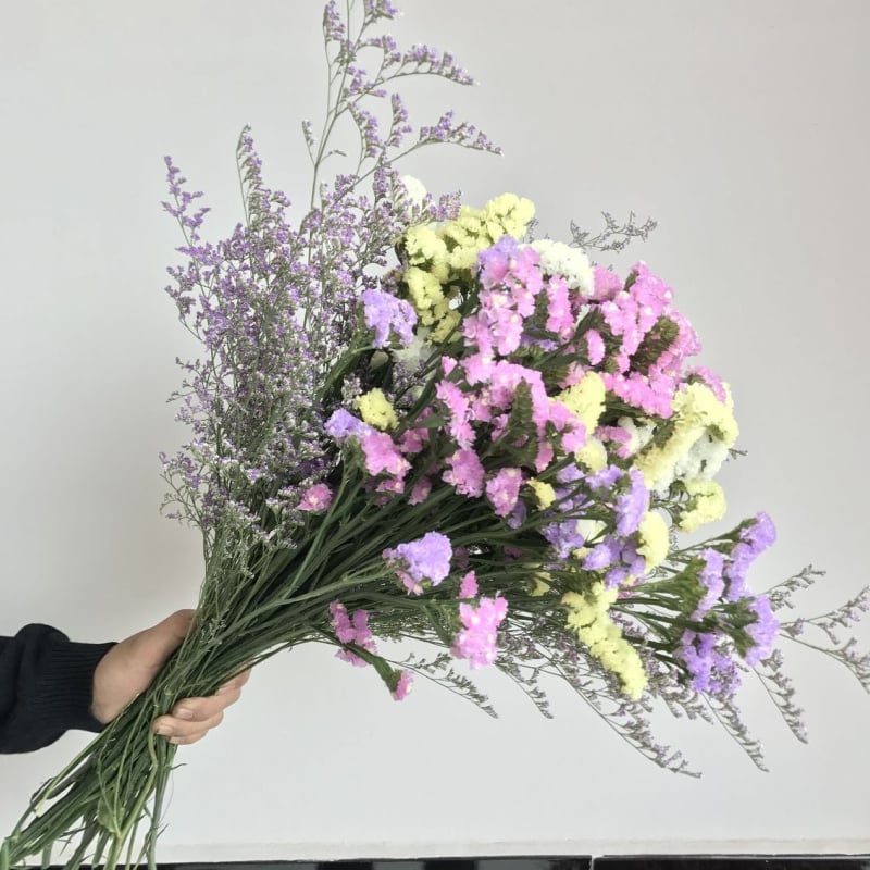 Μπουκέτο Forget-me-not αποξηραμένα λουλούδια, χωρίς βαφή, σε σακούλα από μη υφαντό ύφασμα