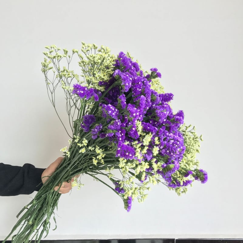 Μπουκέτο Forget-me-not αποξηραμένα λουλούδια, χωρίς βαφή, σε σακούλα από μη υφαντό ύφασμα