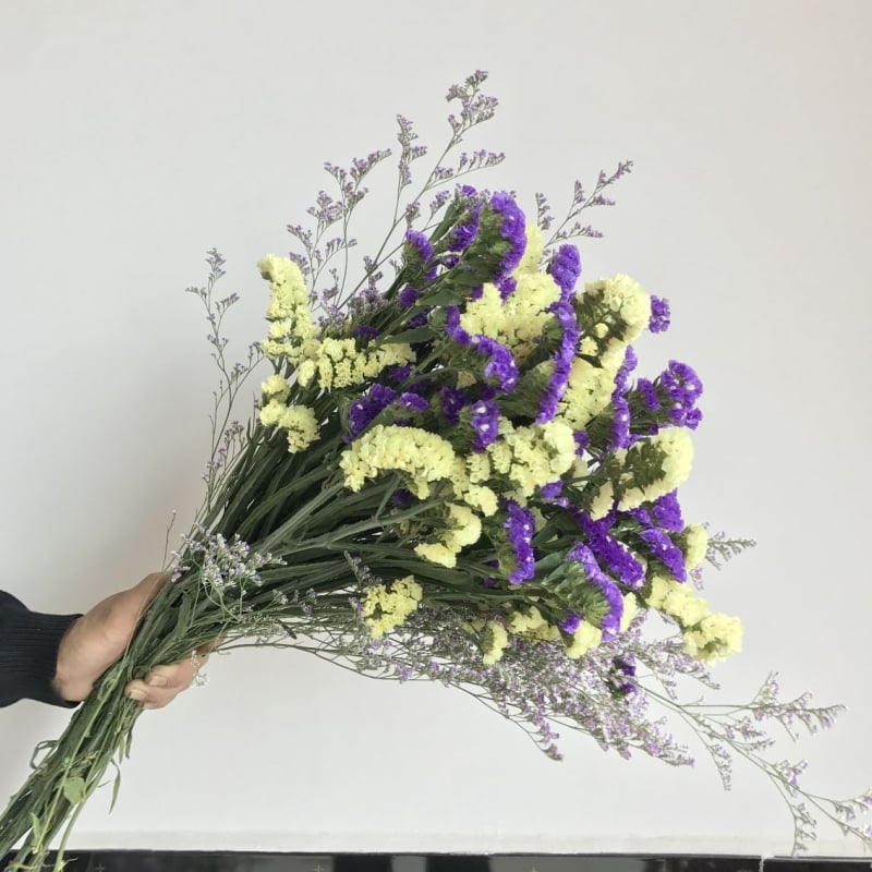 Μπουκέτο Forget-me-not αποξηραμένα λουλούδια, χωρίς βαφή, σε σακούλα από μη υφαντό ύφασμα