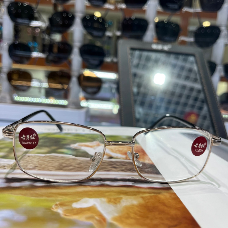 Presbiopijske naočale 8014 – leće za daleko i blizu, leće od smole, metalni puni okvir, retro stil