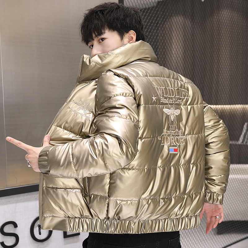 Geacă bărbătească brodată, cu umplutură din mătase-pamuk, fermoar, guler înalt