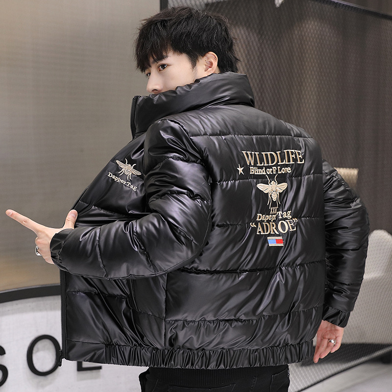 Geacă bărbătească brodată, cu umplutură din mătase-pamuk, fermoar, guler înalt