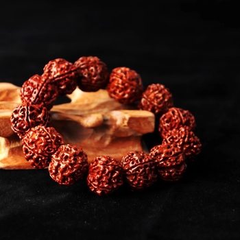 Brățară Rudraksha cu cinci fețe, stil nepalez, unisex, Bodhi material, formă geometrică, încrustare cu diamant