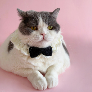 Șal pentru animale de companie, tricotat manual din lână, țesătură twill, procesare jacquard, stil prințesă, potrivit pentru toate sezoanele