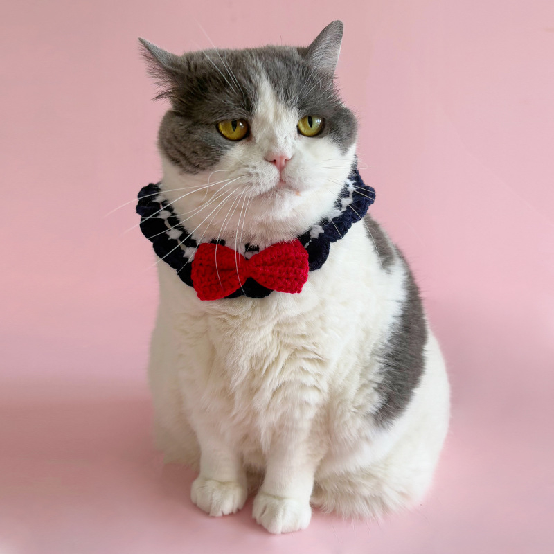 Șal pentru animale de companie, tricotat manual din lână, țesătură twill, procesare jacquard, stil prințesă, potrivit pentru toate sezoanele