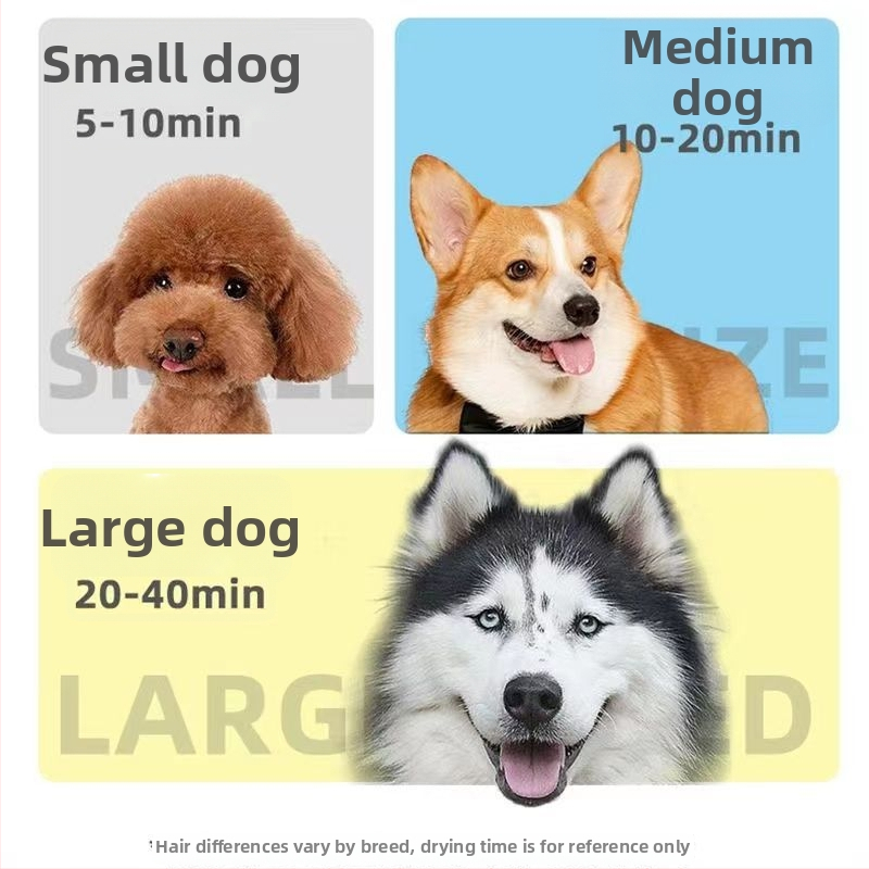 Masă de îngrijire pentru câini cu uscător de păr și suflantă de apă – braț fix, 220V, sub 1000W